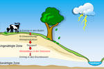 Die Grafik zeigt das Ziel des Projekts, mit dem der natürliche Nitratabbau in der ungesättigten Zone (Drainzone) durch Denitrifikation untersucht werden soll.