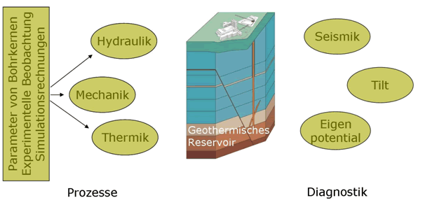 Forschung