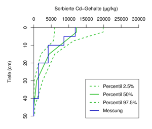 Gemessene Tiefenverteilung der sorbierten Cd-Konzentration am Standort Nordenham nach 85-jähriger Belastungsgeschichte