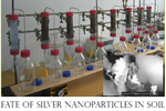Dissertation Martin Hoppe Fate of Silver Nanoparticles in Soil