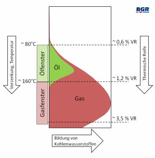 Schema der Bildung von Kohlenwasserstoffen (Erdöl und Erdgas) aus organischem Material