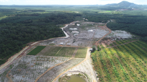 Rekultivierung ehemaliger Zinnabbauflächen in Indonesien