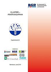 Titelblatt CLUSTER - Abschlusssynthesebericht