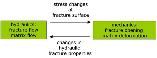 Figure 3: Schematic visualization of the hydromechanical processes and their coupling mechanisms